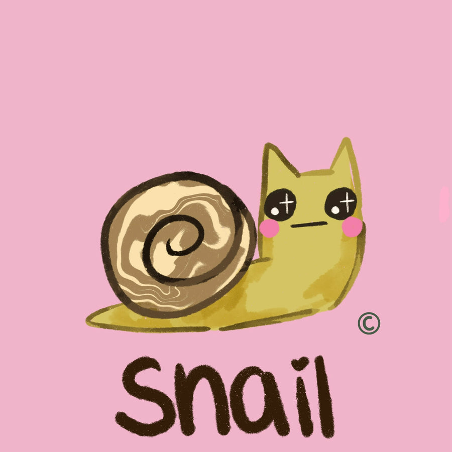 Snail Mail